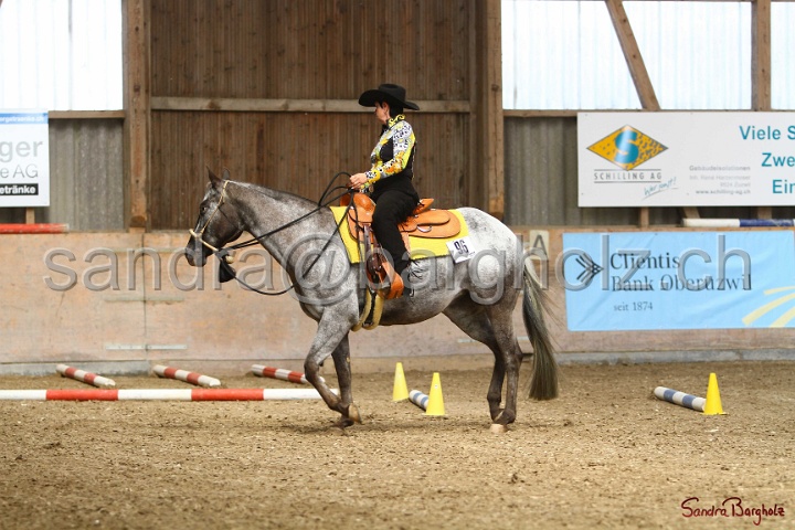 26-ApHC GT_226.jpg